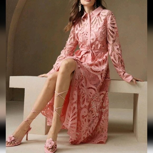 Women's Elegant Solid Color Lace Embroidered Button-Up Empire Waist Dress - Picture 1 of 4